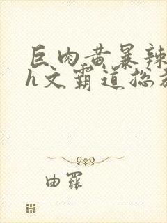 巨肉黄暴辣文高h文霸道总裁