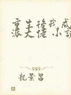 重生后我成了反派大佬 小说