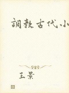 调教古代小说h