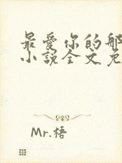 最爱你的那十年小说全文免费阅读