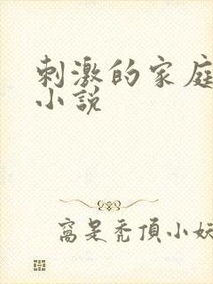 刺激的家庭乱仑小说