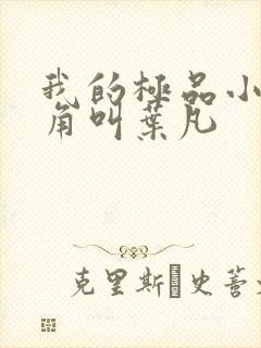 我的极品小姨主角叫叶凡