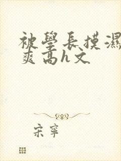 被学长摸湿奶好爽高h文