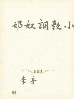 奶奴调教小说封面