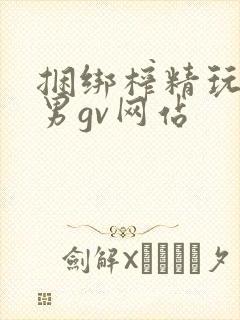 捆绑榨精玩弄男男gv网站