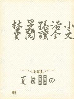 林曼孙浩小说免费阅读全文最新章节