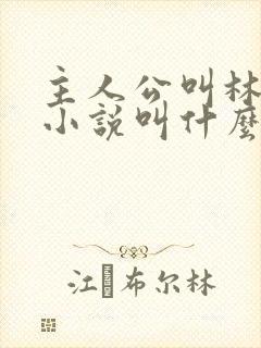 主人公叫林峰的小说叫什么名字