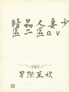 精品人妻少妇一区二区aⅴ