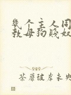 几个主人同时调教母狗贱奴封面