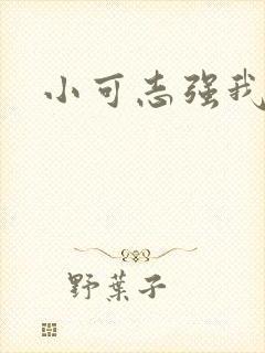 小可志强我阿梅