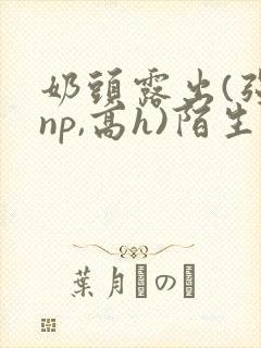 奶头露出(强jnp,高h)陌生人小说小说