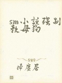 sm小说强制调教母狗封面
