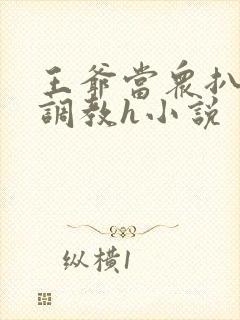 王爷当众扒开蒂调教h小说封面