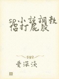 sp小说调教情侣打屁股