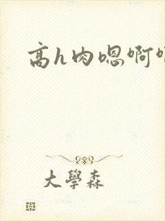 高h肉嗯啊啊哈
