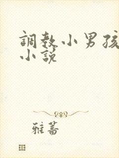 调教小男孩屁眼小说封面