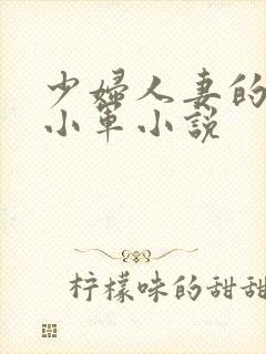 少妇人妻的欲望小军小说封面