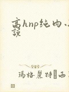 高hnp纯肉小说