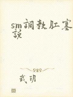 sm调教肛塞小说
