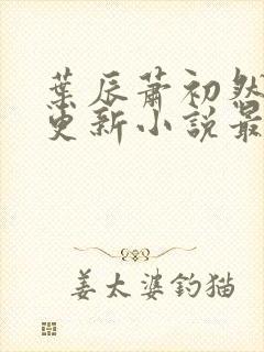 叶辰萧初然最快更新小说最新