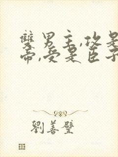 双男主,攻是皇帝,受是臣子