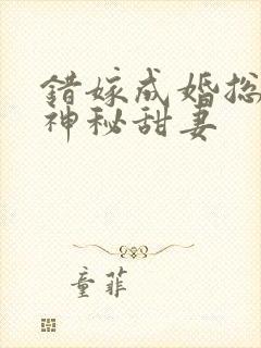 错嫁成婚总裁的神秘甜妻