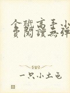 全职高手小说免费阅读无弹窗