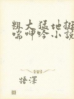 粗大猛地挺进娇喘呻吟小说