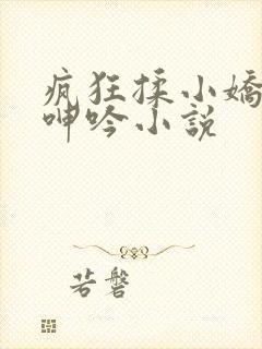 疯狂揉小娇喘声呻吟小说