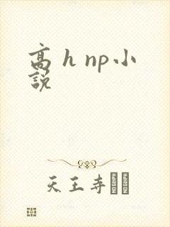 高 h np小说
