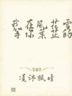 我在风花雪月里等你叶芷的孩子封面