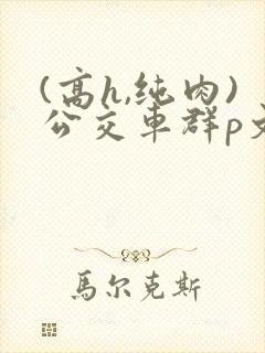 (高h,纯肉)公交车群p文