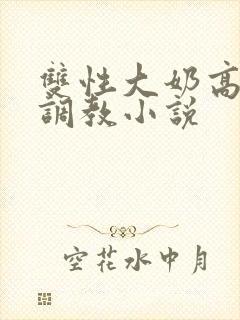 双性大奶高嗨黄调教小说