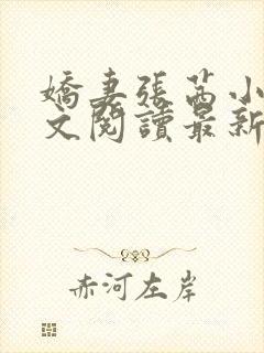 娇妻张茜小说全文阅读最新章节更新