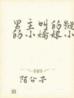 男主叫的糙汉家的小娇娘小说封面