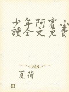 少年阿宾小说阅读全文免费无删减封面