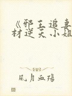 《邪王追妻:废材逆天小姐