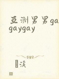亚洲男男gaygaygay