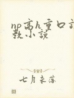 np高h重口调教小说