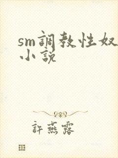 sm调教性奴隶小说封面
