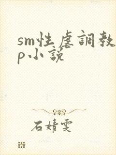 sm性虐调教np小说