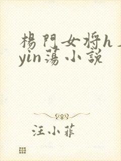 杨门女将h名器yin荡小说