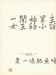 一开始男主想杀女主的小说