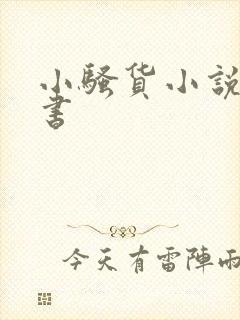 小骚货小说张秘书