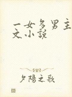 一女多男主高干文小说
