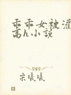 乖乖女被灌满精高h小说