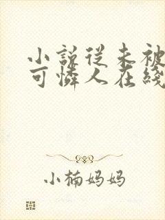 小说从未被爱的可怜人在线阅读封面