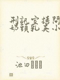 刑讯室拷问白嫩奶头乳夹小说