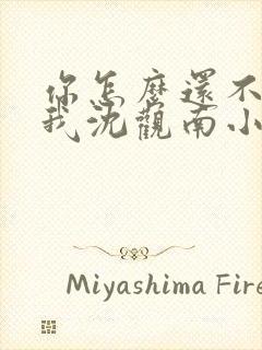 你怎么还不来哄我沈观南小说免费阅读