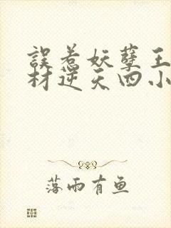 误惹妖孽王爷废材逆天四小姐 苏小暖